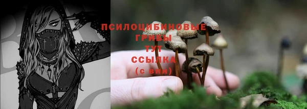 PSILOCYBIN Абинск