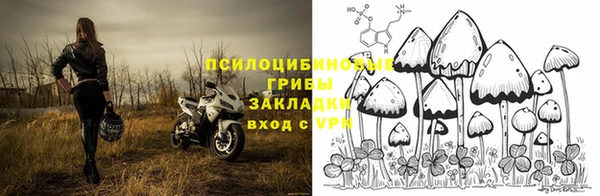 PSILOCYBIN Абинск