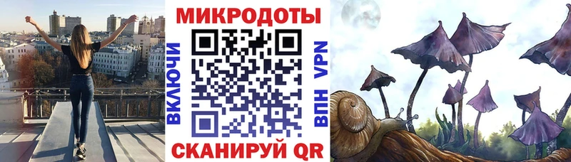 блэк спрут ссылки  Владимир  Псилоцибиновые грибы Magic Shrooms  сколько стоит 